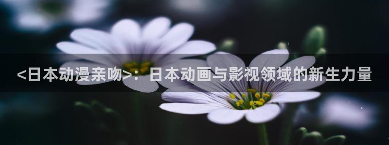 拷贝漫画 copymanager.ory网站