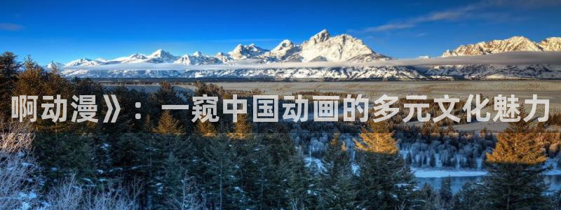 age动漫网