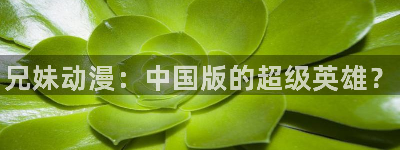 age动漫官网在线入口