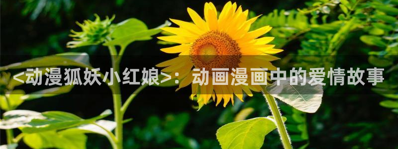 age动漫官网樱花动漫
