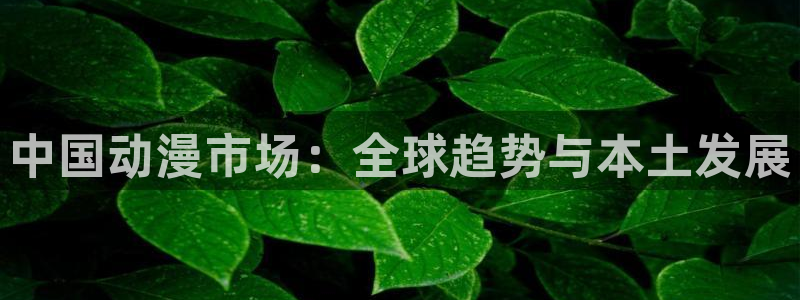 age动漫官网版入口
