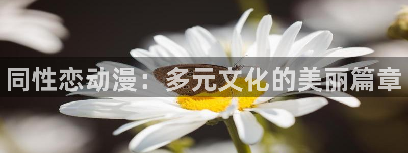 age动漫下载动漫全免费