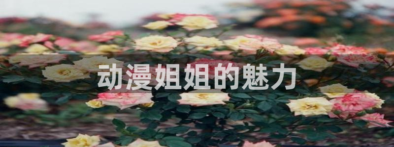 age动漫官网版入口