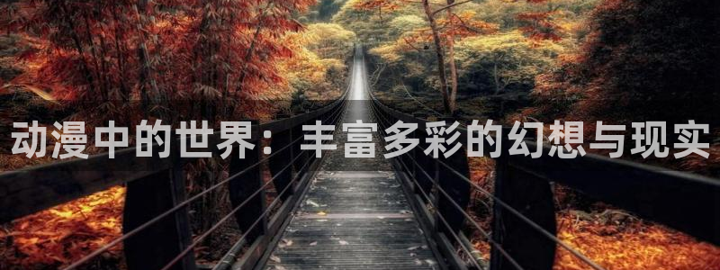 拷贝漫画 copymanager.ory网站