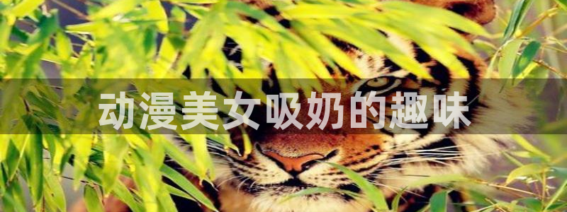 age专注动漫的门户网站