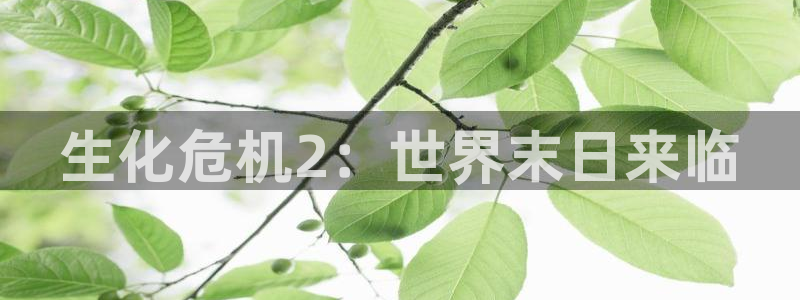 age动漫官网入口老版本
