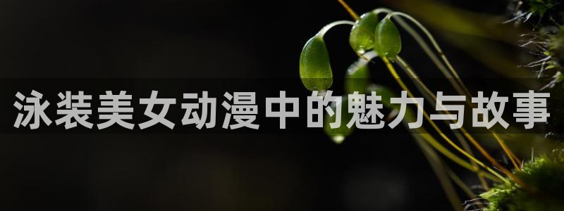 age专注动漫的门户网站