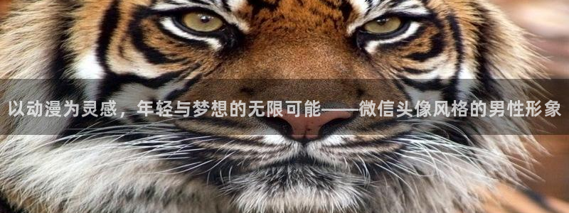 age动漫
