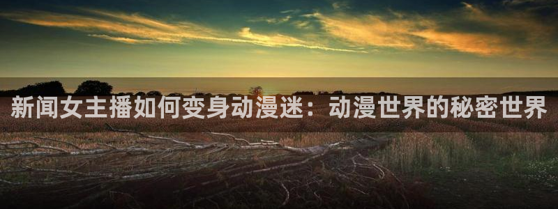 age动漫官网版入口
