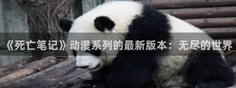 age动漫专注动漫的门户网站