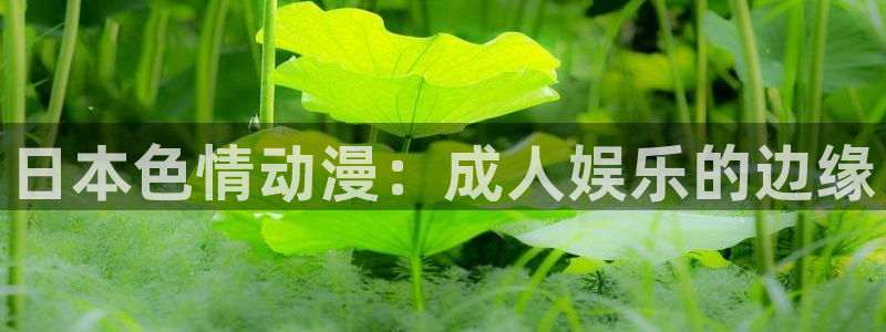 age动漫网下载