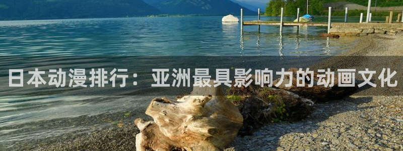 拷贝漫画 copymanager.ory网站