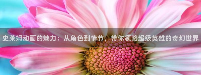 age动漫网
