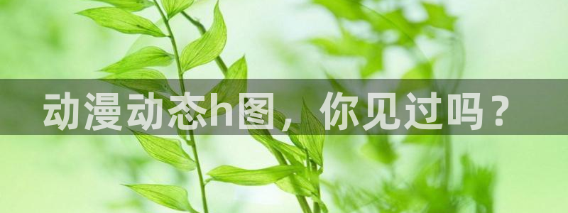 age专注动漫的门户网站
